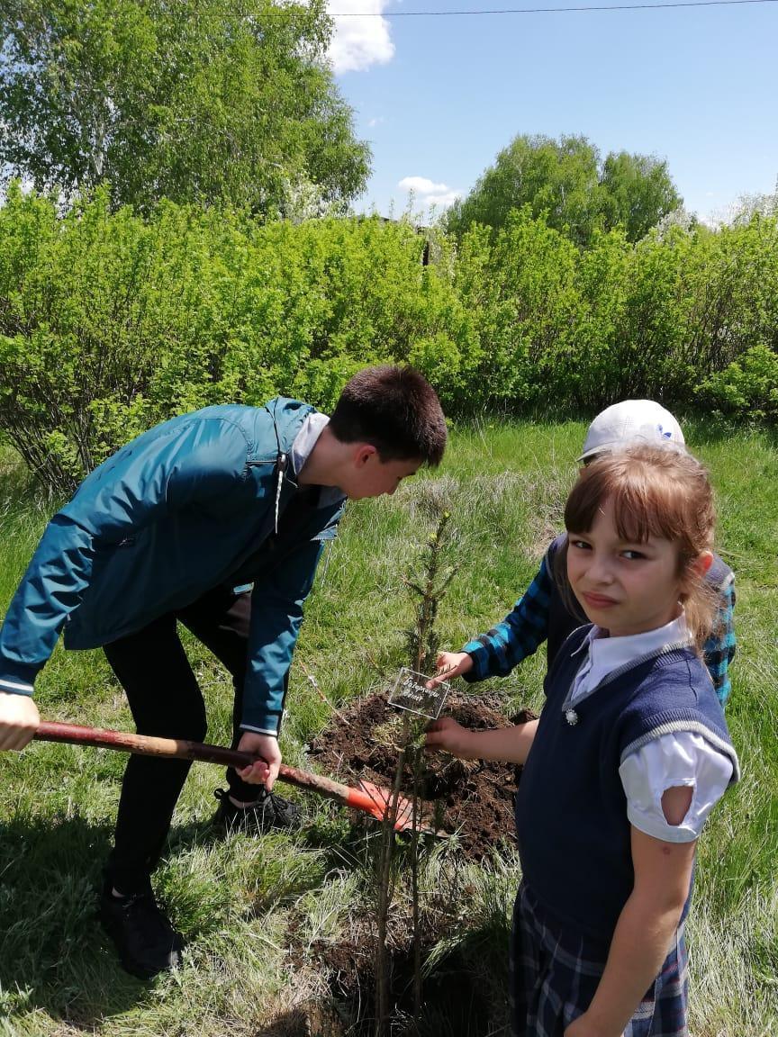 Аллея выпускника