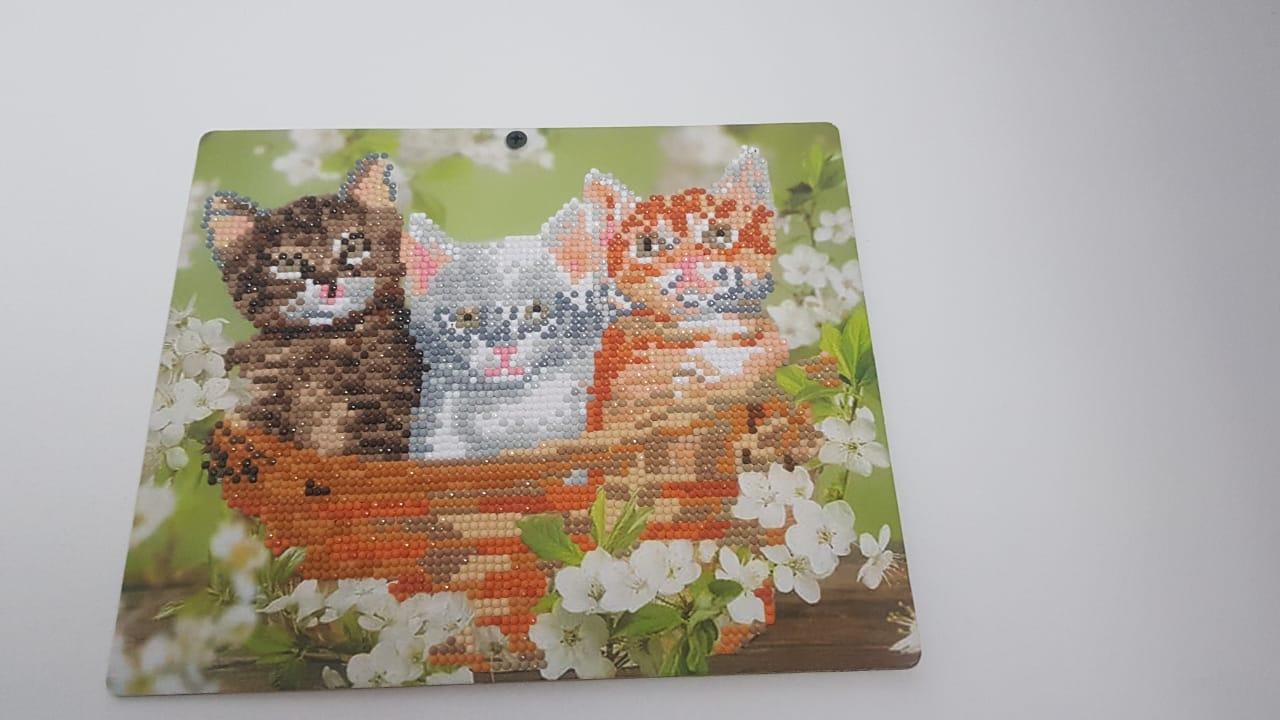 Каникулы зимой